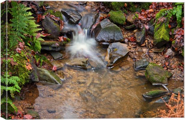 A splash in the stream Canvas Print by David McCulloch