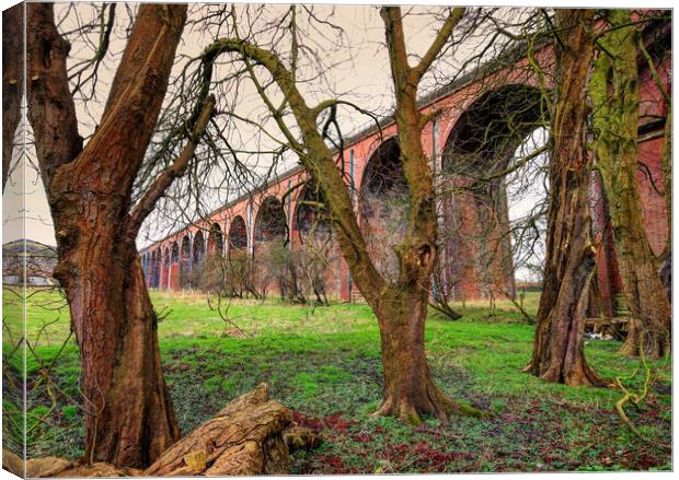 Trees by the viaduct Canvas Print by David McCulloch