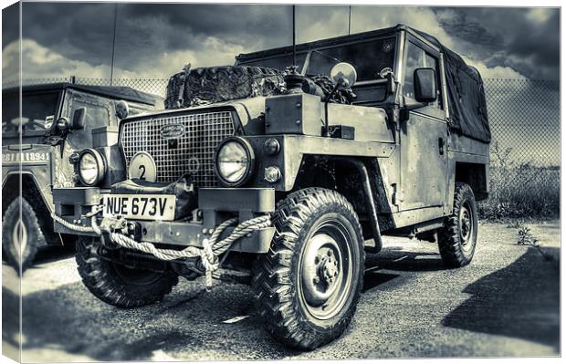 The Defender Canvas Print by Ian Hufton