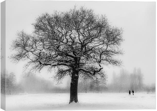 Walking in a winter Wonderland Canvas Print by Ian Hufton