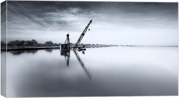 Simply Crane Canvas Print by Ian Hufton