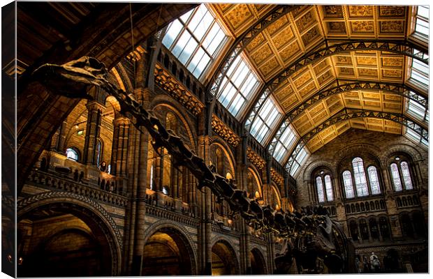 Natural History Museum Canvas Print by Ian Hufton
