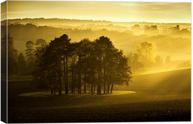 The Downs Canvas Print by Ian Hufton