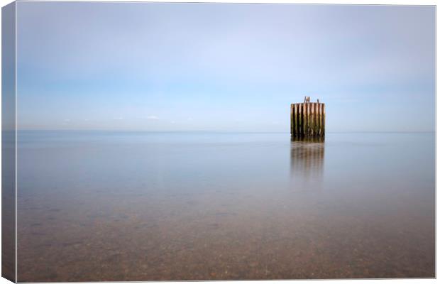 Whitstable Dolphin Canvas Print by Ian Hufton