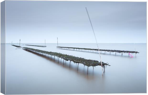 Whitstable Oysters  Canvas Print by Ian Hufton