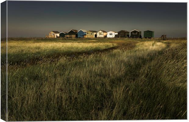 Seasalter Beach Huts Canvas Print by Ian Hufton