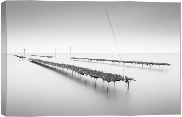 Whitstable Oysters  Canvas Print by Ian Hufton