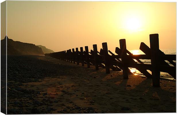 sunset Canvas Print by mark davies