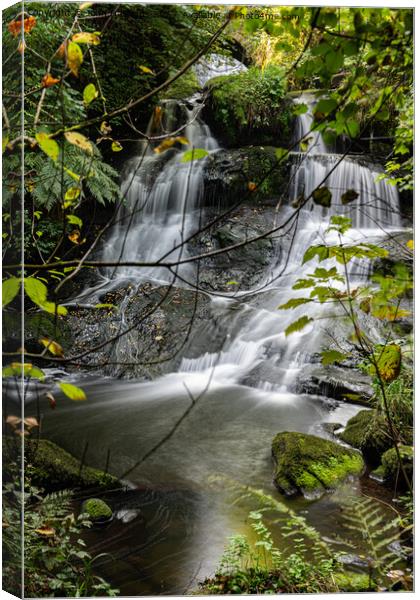 Cascading Waterfall's Tranquil Beauty Canvas Print by John Hastings