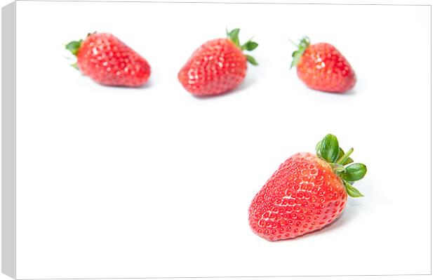 Four Strawberries Canvas Print by Helen Northcott