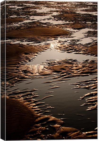 Sand and Water Abstract Canvas Print by Helen Northcott