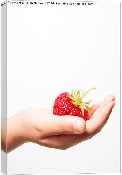 A Strawberry in the Hand Canvas Print by Helen Northcott