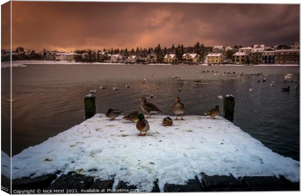 Ducks on a Pier Canvas Print by Nick Hirst