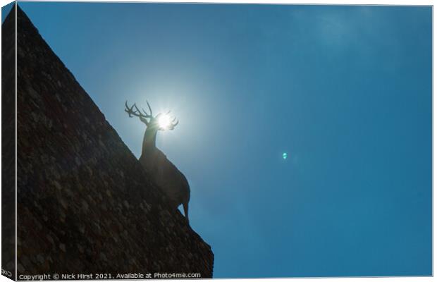 Backlit Stag Canvas Print by Nick Hirst