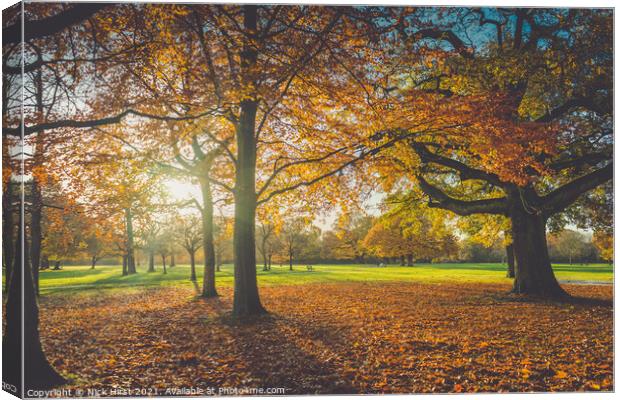 Carpet of Leaves Canvas Print by Nick Hirst