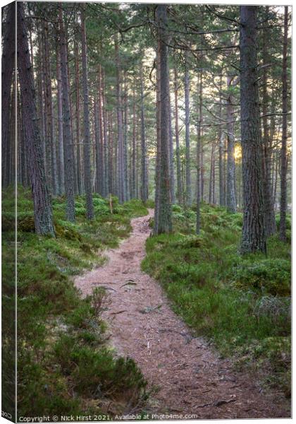 Path to Sunset Canvas Print by Nick Hirst