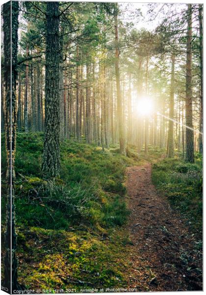 Sunrise over the Path Canvas Print by Nick Hirst