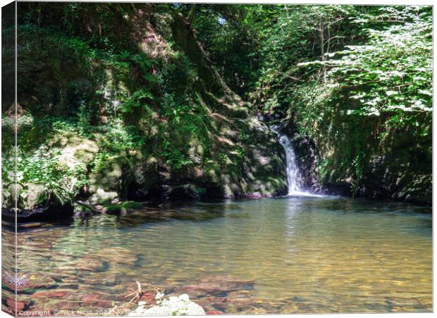 Mini Lagoon Canvas Print by Nick Hirst