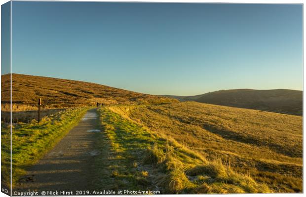 Sunlit path Canvas Print by Nick Hirst