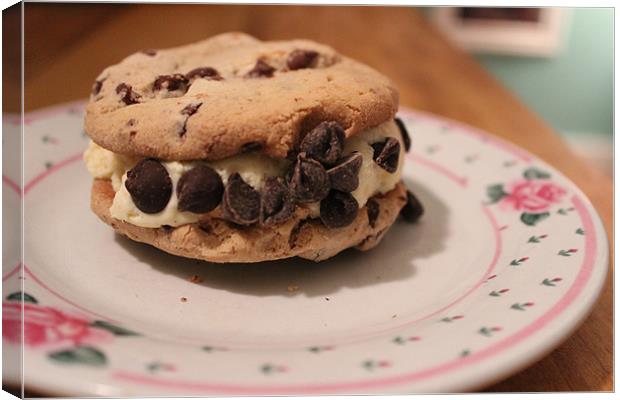 Ice Cream Sandwich Canvas Print by Sarah Cioffi