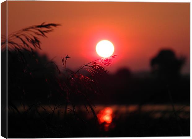 Red Sunset On Grassy Fingers Canvas Print by Gary Barratt