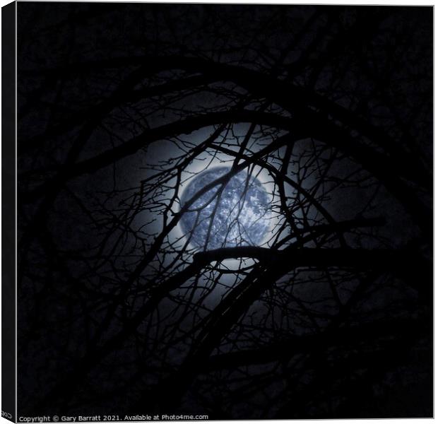 Blue Moonglow. Canvas Print by Gary Barratt