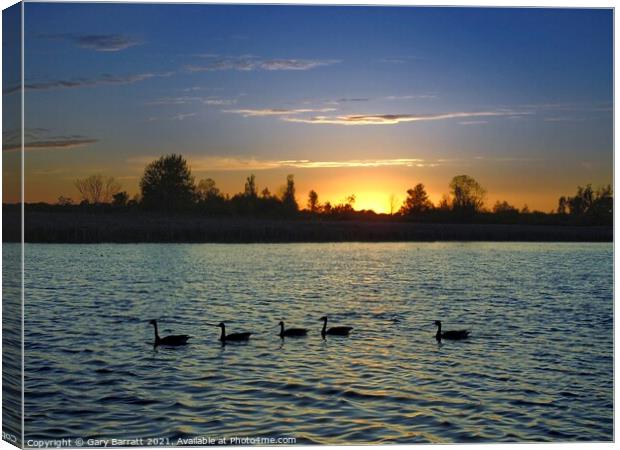 Five Geese At Sunset. Canvas Print by Gary Barratt