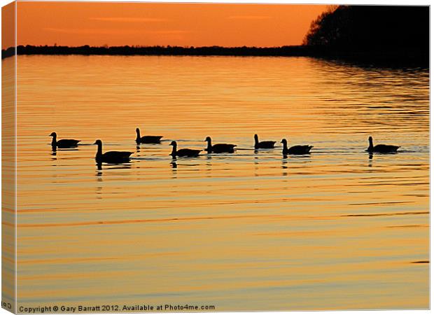 Eight Ducks After Sunset Canvas Print by Gary Barratt