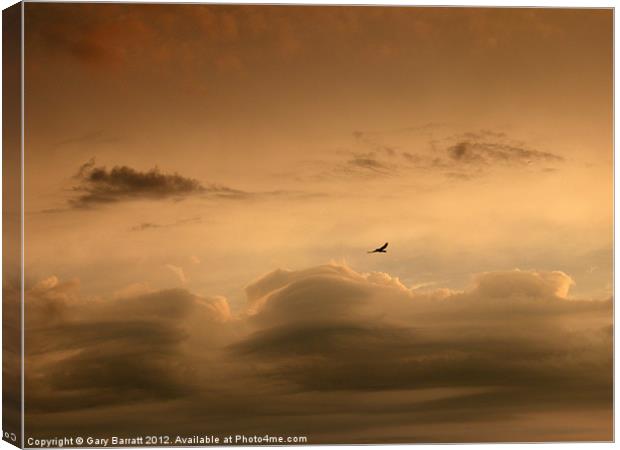 Lone Bird Menacing Sky Canvas Print by Gary Barratt