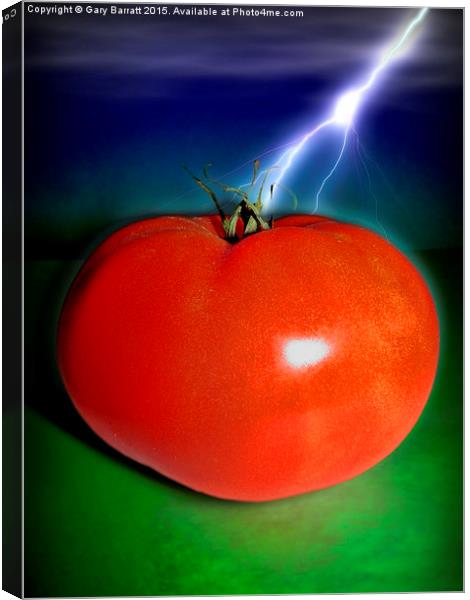  Big Red Tomato. Canvas Print by Gary Barratt