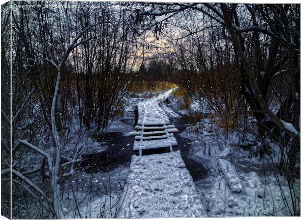 An Icy Winter's Path. Canvas Print by Gary Barratt