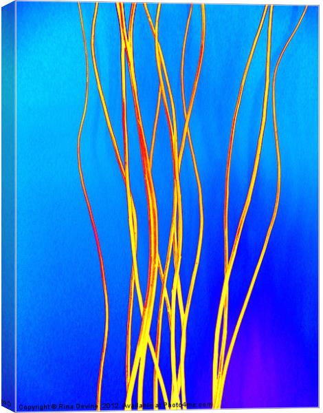 Luminous Twigs Canvas Print by Fine art by Rina