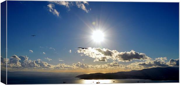 Flying over the Bay Canvas Print by Fine art by Rina