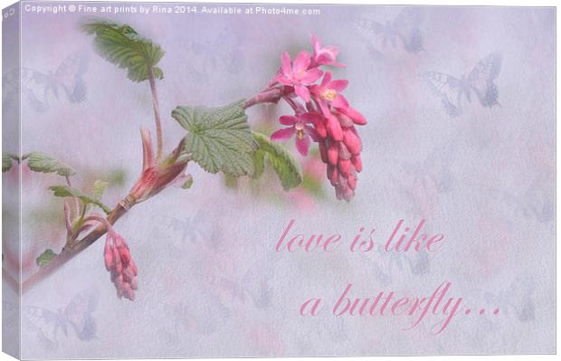 Love is like a butterfly Canvas Print by Fine art by Rina