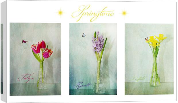  Springtime Canvas Print by Fine art by Rina