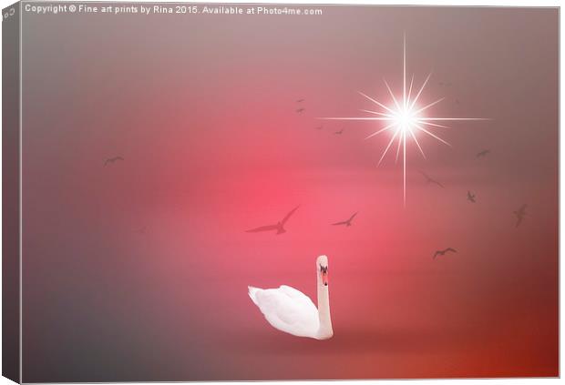  The Swan Canvas Print by Fine art by Rina