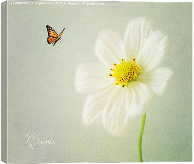 Cosmos Canvas Print by Fine art by Rina