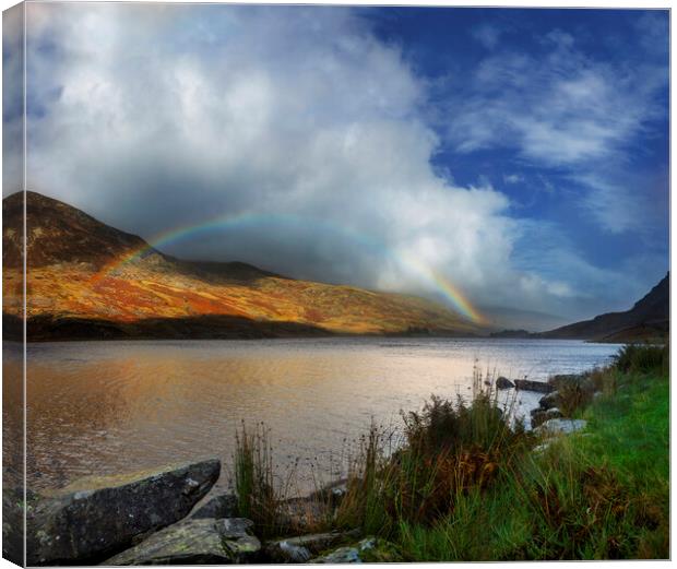 Llyn Ogwen, Snowdonia National Park, Wales Canvas Print by Maggie McCall