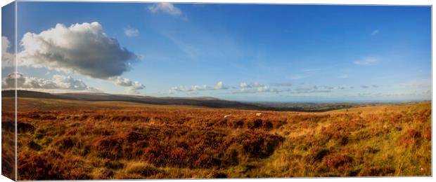 Dartmoor,  view towards Minehead, North Bovey Canvas Print by Maggie McCall