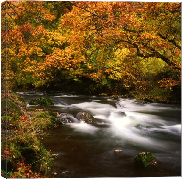 Brathay River, Clappersgate,  Lake District. Canvas Print by Maggie McCall