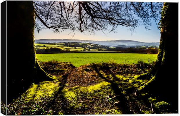 Sydenham Damerel and the Tamar Valley, Devon Canvas Print by Maggie McCall