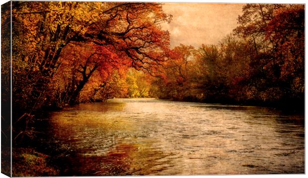 Autumnal River Tamar Canvas Print by Maggie McCall