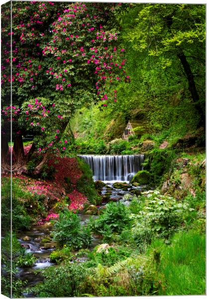 Menacuddle Well, Treverbyn, St Austell, Cornwall. Canvas Print by Maggie McCall