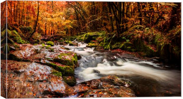 River Fowey, Golitha falls, Bodmin Canvas Print by Maggie McCall