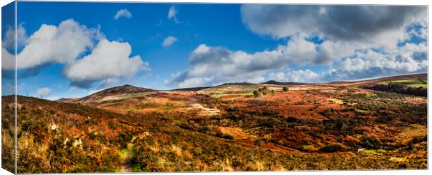 Widgery Cross, Brat Tor & Doe Tor Common Dartmoor Canvas Print by Maggie McCall