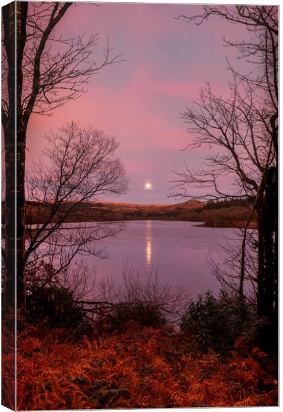 Moon Rise Sunset Burrator, Dartmoor Devon Canvas Print by Maggie McCall