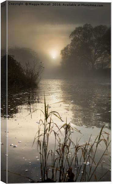 Misty Winter Sunrise on Tamar River, Devon Canvas Print by Maggie McCall
