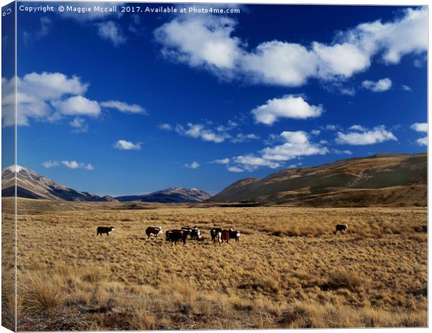 MOUNT NICHOLAS STATION, NEW ZEALAND Canvas Print by Maggie McCall