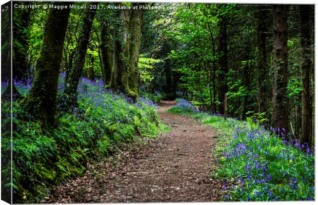 A Walk in the Bluebell woods Canvas Print by Maggie McCall