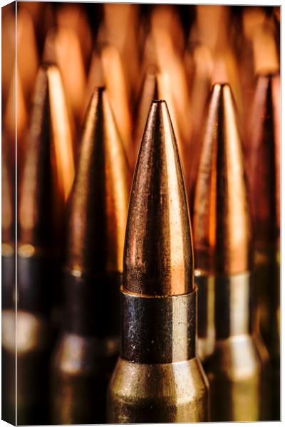 Close up of  Standing Bullets. Canvas Print by Maggie McCall